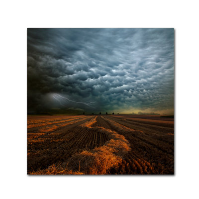 " Mammatus " by Franz Schumacher