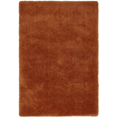 Makayla Solid Colour Shag Area Rug
