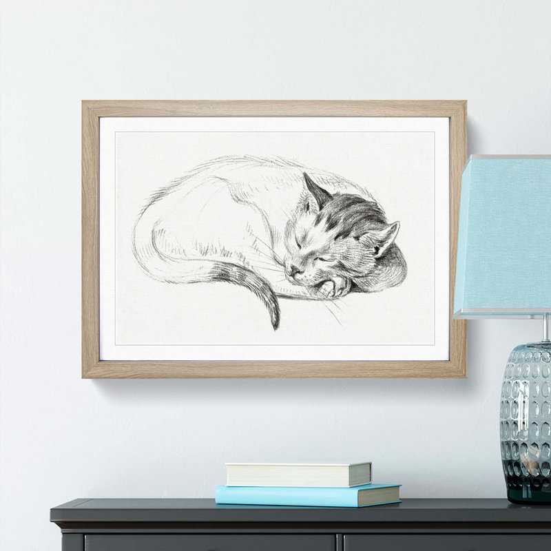 Sleeping Cat by Jean Bernard - Picture Frame Drawing Print, Oak Framed, 48cm H x 65cm W x 2cm D