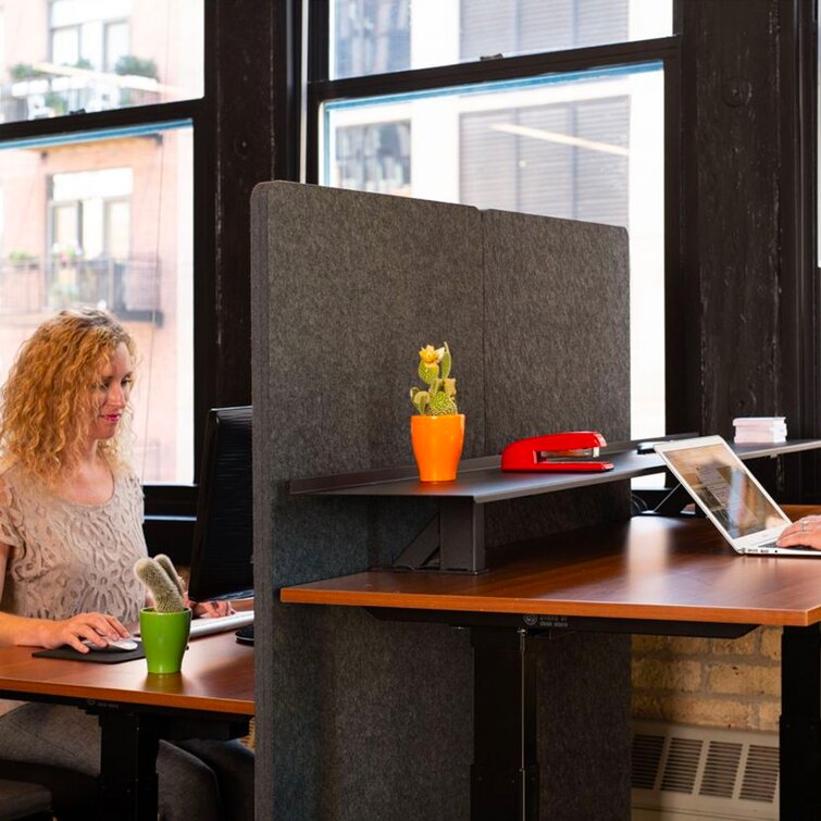 Modesty Panel/Divider for Standing Desk