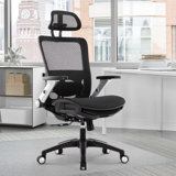 Hopeworth Ergonomic Mesh Office Chair with Adjustable Arms & Swivel Base