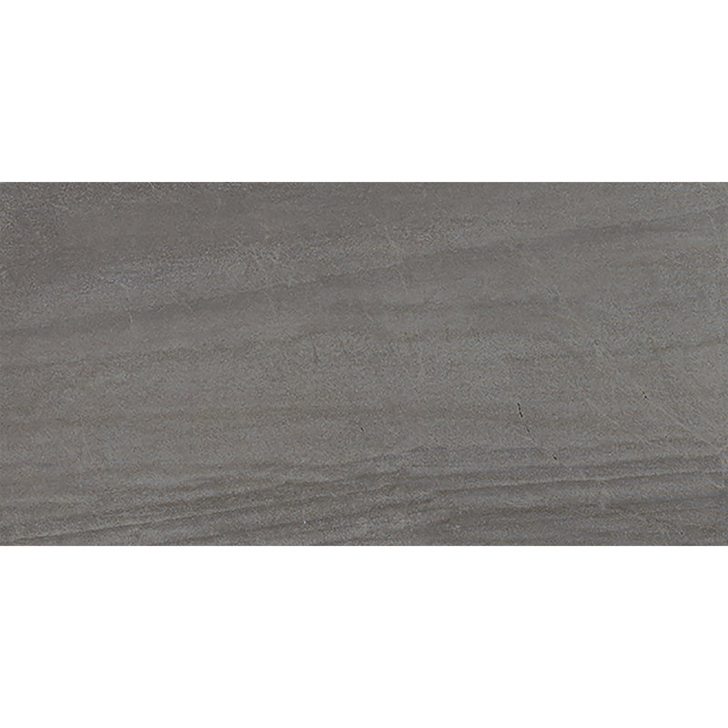 Shining Star 12'' W x 24'' L Porcelain Stone Look Singular Tile, Steel