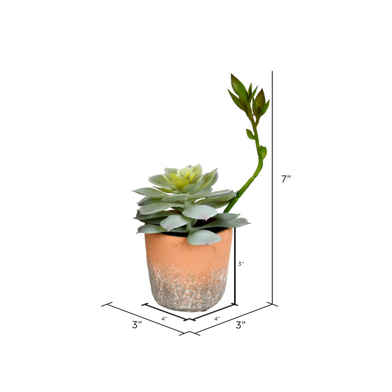 7'' Faux Succulent in Ceramic Pot