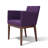 Harput Wood Solid Back Arm Chair-21685567-21685578