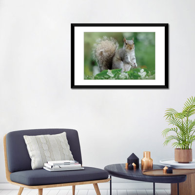 Eastern Gray Squirrel by Jacky Parker - Wrapped Canvas Photograph