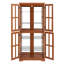 Vitrine Curio-475656336