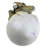 Baby Triceratops Dino Egg Statue