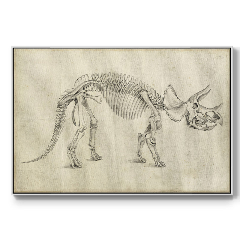 «Dinosaur Study II», reproduction d'art sur toile, H 17 po x l 25 po x P 2 po, Blanc