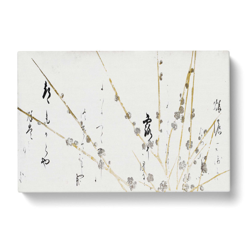 Branches Of A Flowering Tree by Hon'ami Koetsu - Wrapped Canvas Painting, 35cm H x 50cm W x 3cm D