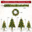 Assortiment de 6 pièces de sapins persistants, 4 arbres avec bases robustes, 1 couronne illuminée, 1 guirlande lumineuse, lumières blanc chaud
