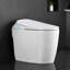 Toilettes intelligentes allongées conformes aux normes ADA, double chasse d'eau 1,1/1,6 GPF, siège chauffant, commande au pied/sans siège/chasse d'eau occultante, veilleuse, fermeture en douceur