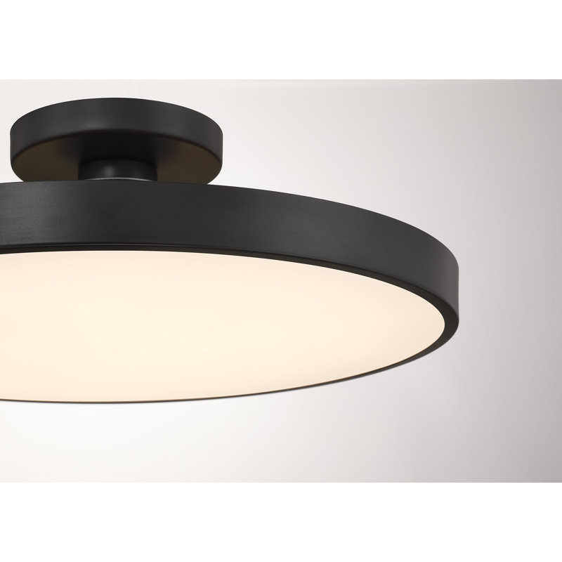  Plafonnier à DEL 1 lumière Thayer, Noir mat