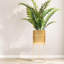 Matt Metal Large Decorative Plant Pot with Gold Plant Stand