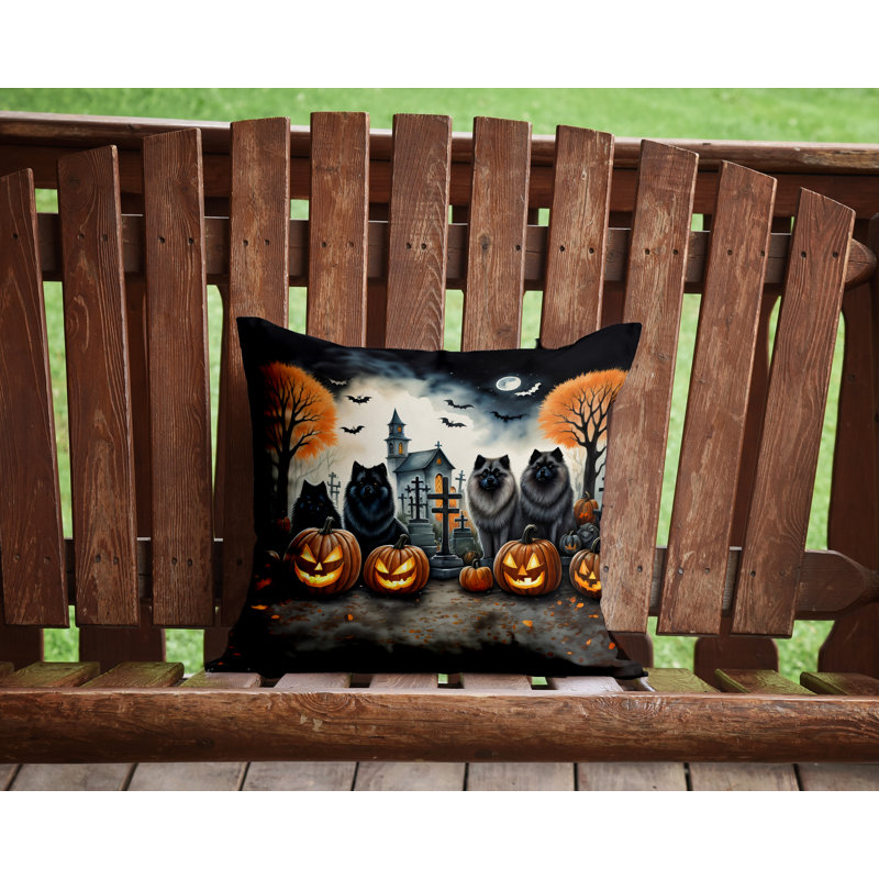  Housse et insert de coussin décoratif en polyester, 14 po x 14 po