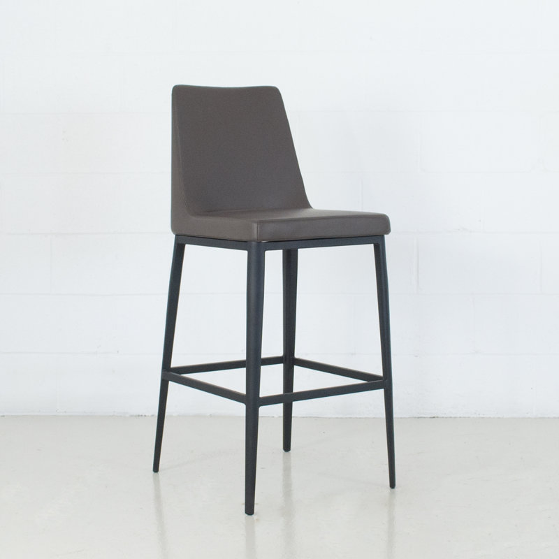 Molinaro Hasan Bar & Counter Stool, Charcoal, Counter Stool (25.5" Seat Height)