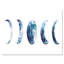Magic Blue Moon Phases - impression sur toile tendue-59653779