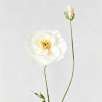 Audet Poppy Stems