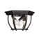 Okanagan 3 - Bulb Outdoor Flush Mount