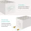 24 Pair Shoe Storage Box