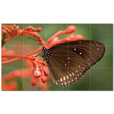 Butterfly Photo 12'' x 12'' Satin Ceramic Decorative Mural