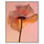 Amber Radiance IV Print by Oliver Gal-883992695-883992970