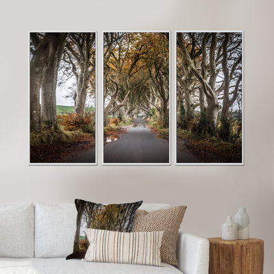 " Avenue of Tall Trees in Ireland " 3 Piece Art Color Photography Print