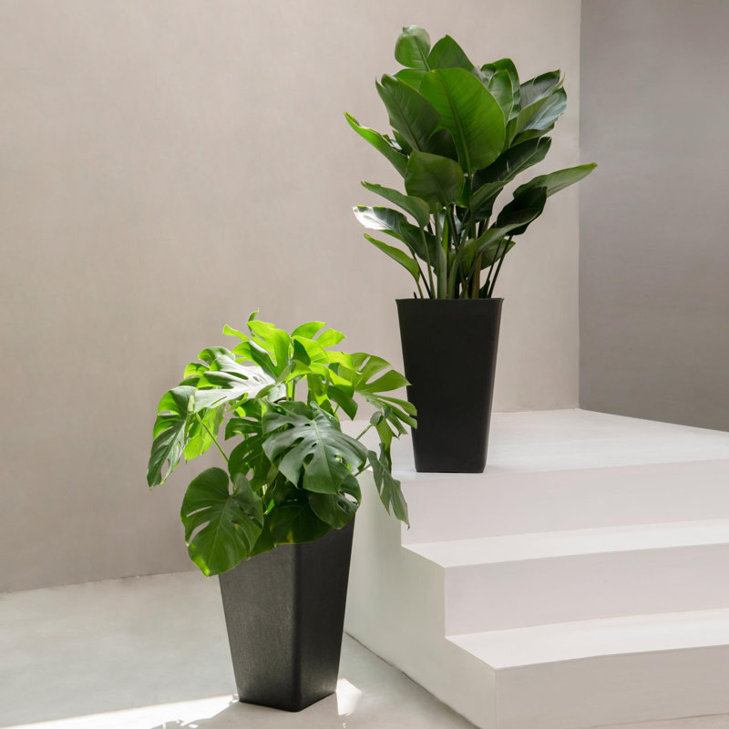 Amimma Self-Watering Rectangular Tall Planters, 20" H x 12" W x 12" D, Black, 2
