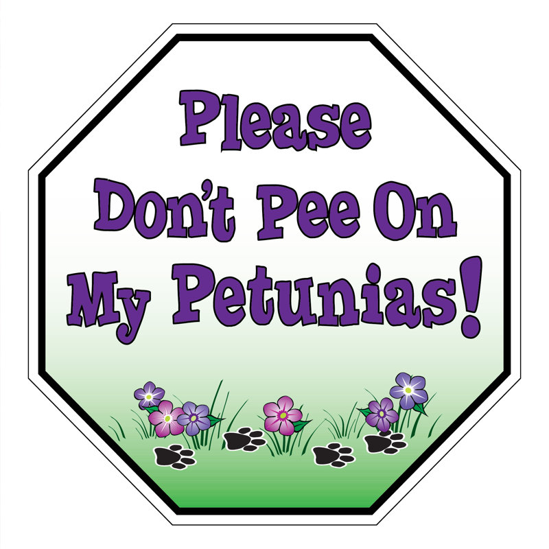 Veuillez ne pas pisser sur mon jardin Petunias