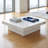 Marble Veneer Coffee Table