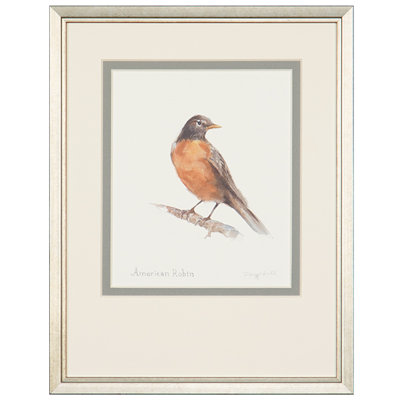 American Robin Print