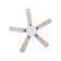 Arsav 130cm Ceiling Fan with LED Lights