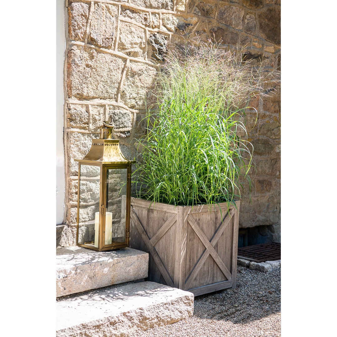 Romulus Wood Planter Box Laurel Foundry Modern Farmhouse® 