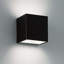 Sunrise 1 - Light Flush Mounted Sconce-11319853