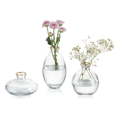 Jair Glass Table Vase - Set of