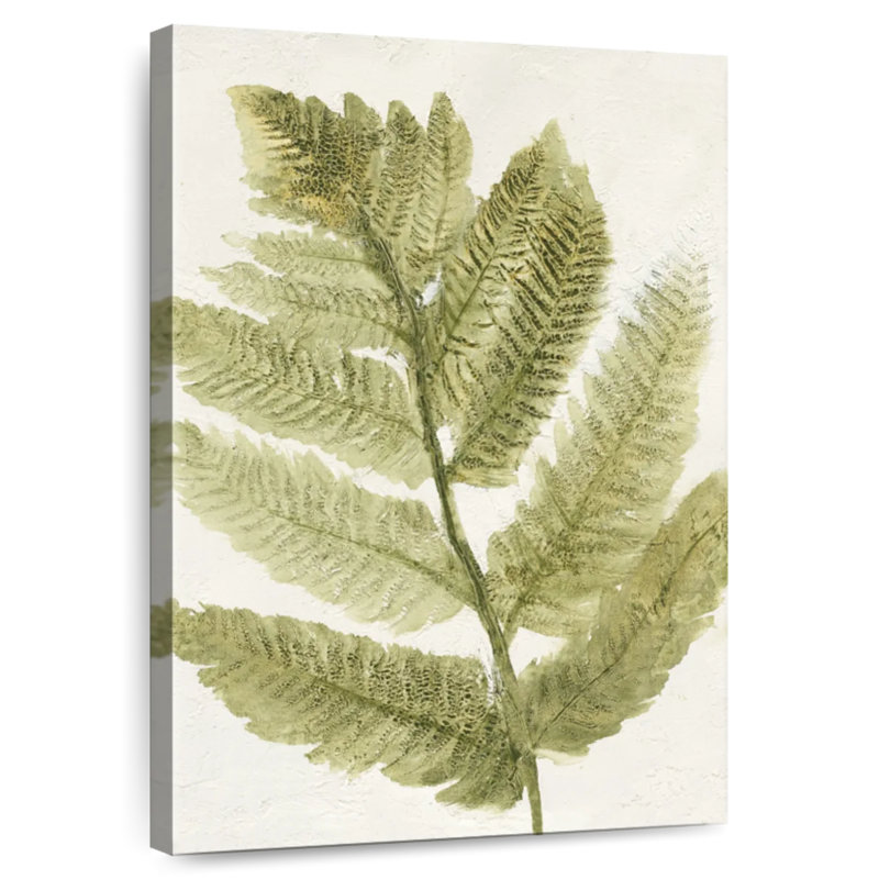 Harnek Forest Ferns III, H 48 po x l 32 po