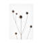 Art sur toile «Bachelor Picufy» 11-93221833