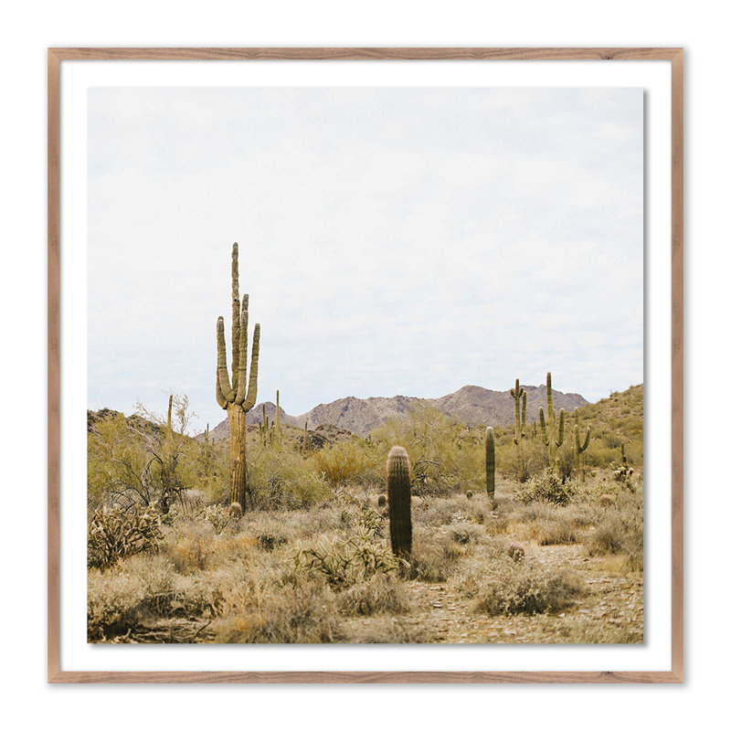 High Desert Print by Wesley And Emma Teague, Rustic Walnut Framed, 48" H x 48" W