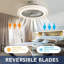 Bubik Ceiling Fan with LED Lights