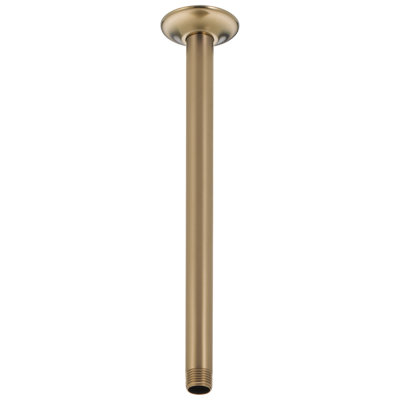 Shower Arm and Flange Ceiling