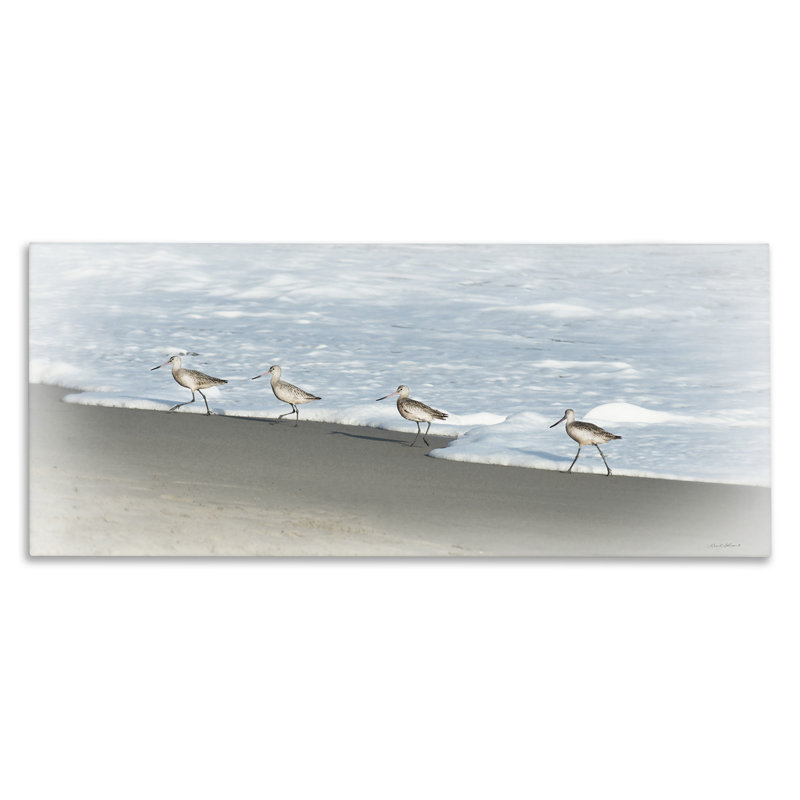 «Four Sandpipers on Beach», art mural sur toile par Rhonda Addison, H 17 po x l 40 po