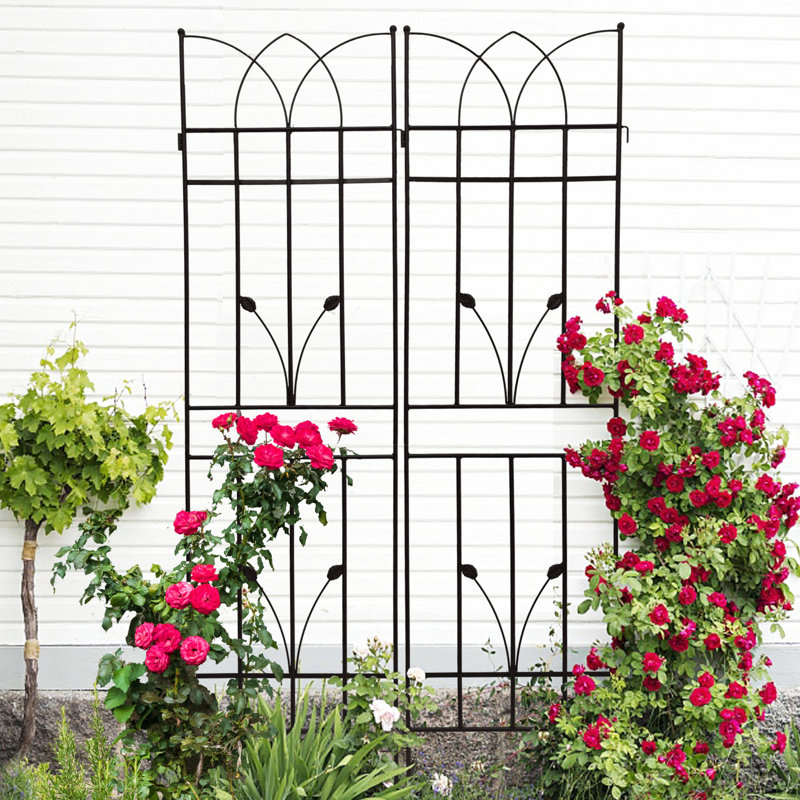2 Pack Metal Garden Trellis 71" X 17.7", Black Rust- Flower Support, Simple Assembly, Strong Metal, Ideal For Climbing Plants Like Morning Glory, , Beans, Cucumber, Grape, Jasmine Plant Beans