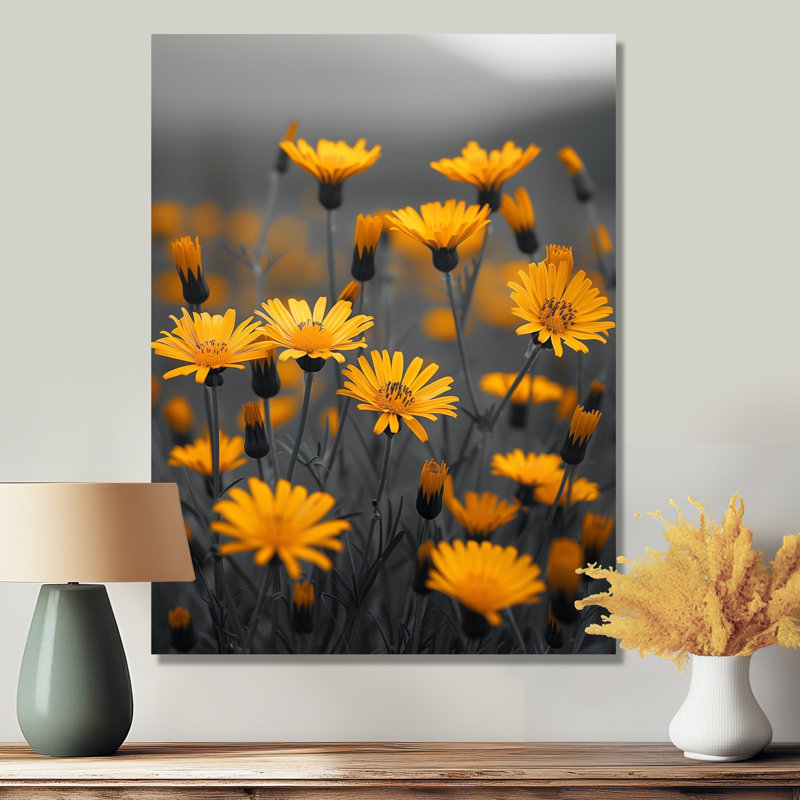 Marguerite jaune et gris dans le vent I - art mural marguerite, Black Picture Framed, H 34 po x l 44 po