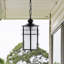 Shawonda Outdoor Pendant