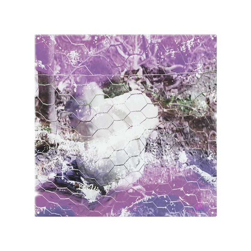 Glass Peel and Stick, 50cm L x 60cm W