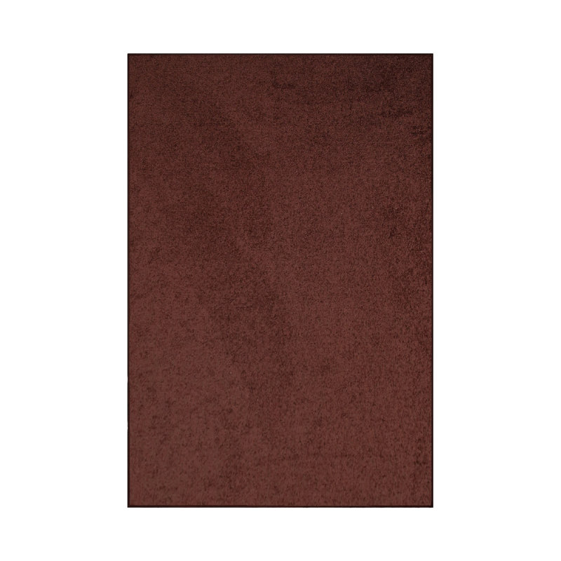 Modern Plush Pet and Kids Friendly Solid Color Chocolate Area Rugs, Stain & Fade Resistance, Perfect for Living Room, Dining Room, Bedroom, Playroom and Kidsroom, Event, Wedding, Amberjo Rug