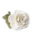 Porcelain Rose