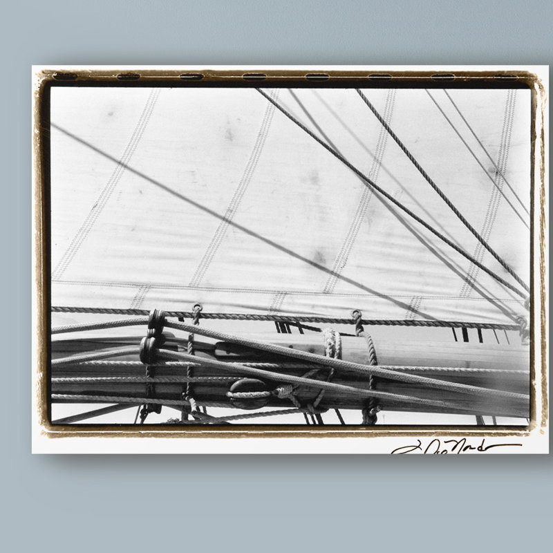 « under voile iv », reproduction de photo sur toile tendue, H 14 po x l 19 po x P 2 po