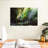 Alvord Forest In Panama-107490019