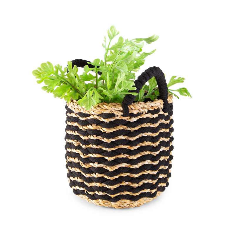 17 Stories Seagrass Box
