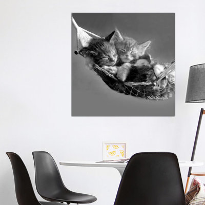 Kits In Hammock by Keith Kimberlin - Print on Canvas